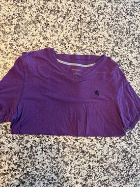 Express men’s  Deep Purple V-Neck Short Sleeve Tee